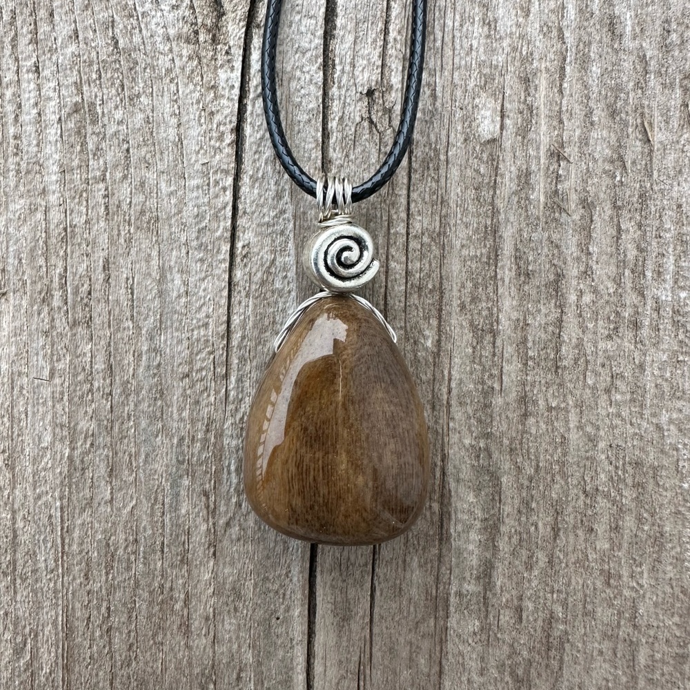 Petrified Wood Manifesting Your Transformation, Grounding and Harmony.